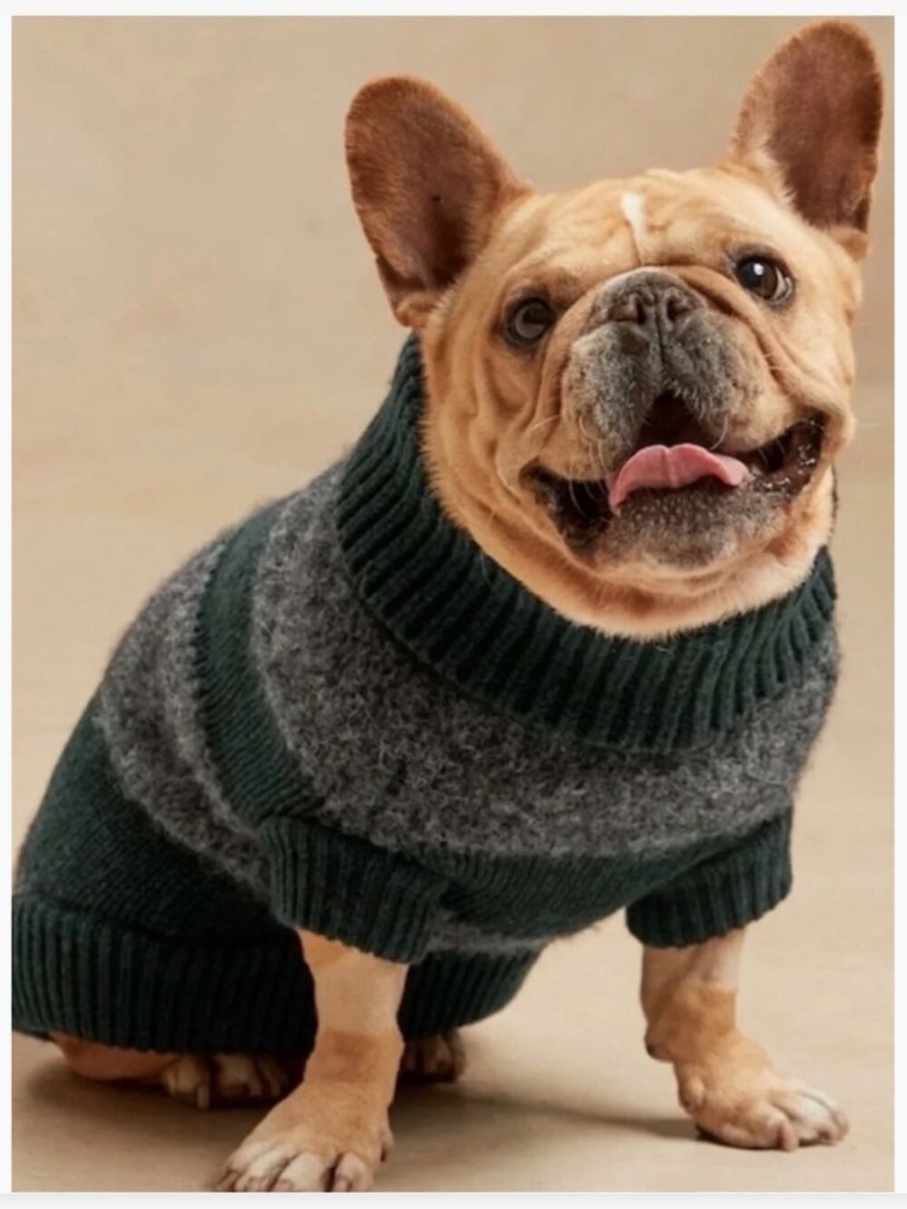 NWT Banana Republic Green/Gray Striped Wool and Alpaca Dog Sweater - Size M